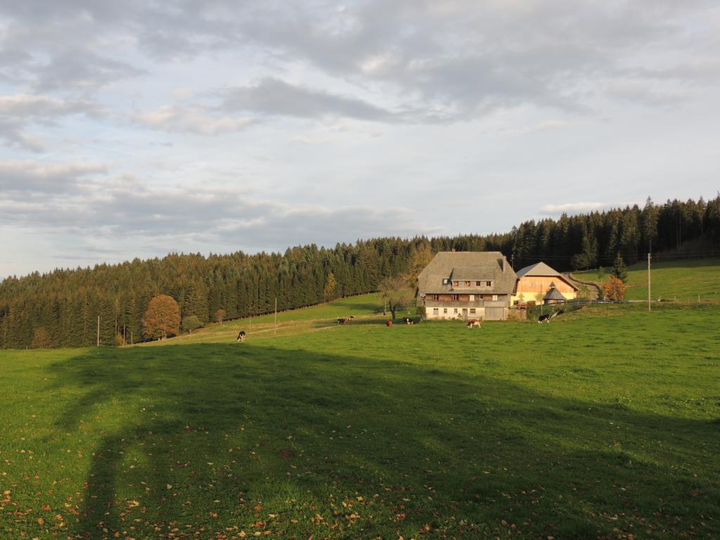 Pension Altvogtshof Eisenbach  Kültér fotó