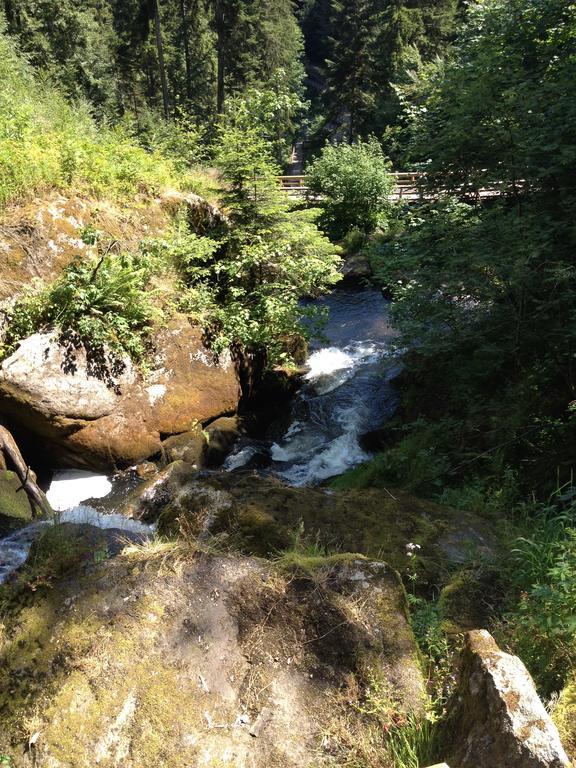 Pension Altvogtshof Eisenbach  Kültér fotó